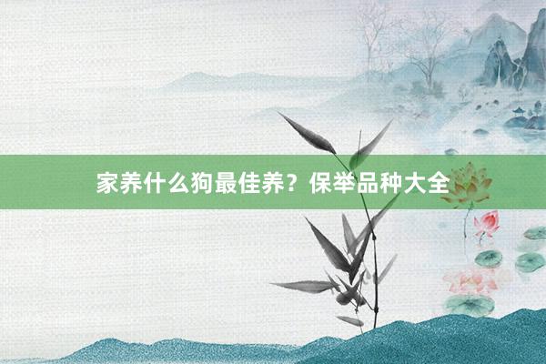 家养什么狗最佳养?保举品种大全