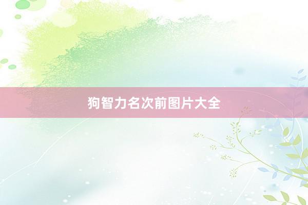 狗智力名次前图片大全